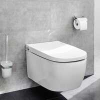 Toiletrolhouder met deksel Meo zilverkleurig