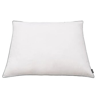 Kussens 2 st licht 80x80 cm dons-/verenvulling wit