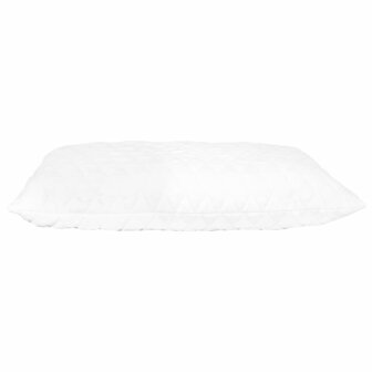 Kussens 2 st 60x40x14 cm traagschuim