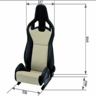 Recaro Racestoel Recaro Sportster Zwart