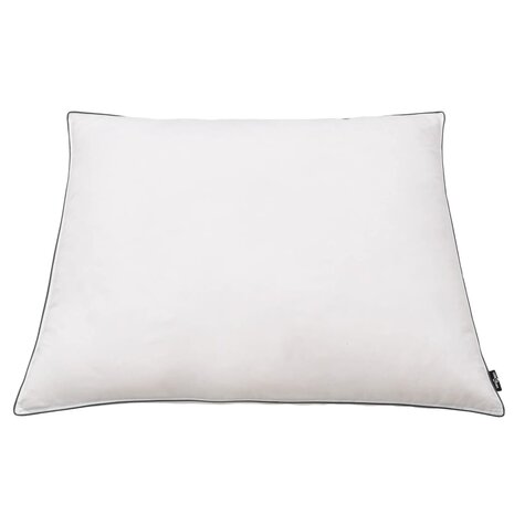 Kussens 2 st licht 80x80 cm dons-/verenvulling wit