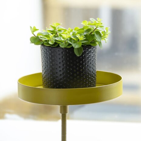 Plantenblad met klem rond S goudkleurig
