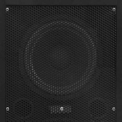 Hifi-podiumluidsprekers 2 st passief professioneel 1000 W zwart