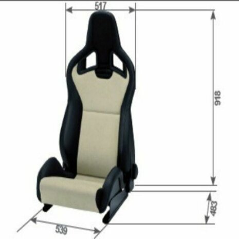 Recaro Racestoel Recaro Sportster Zwart